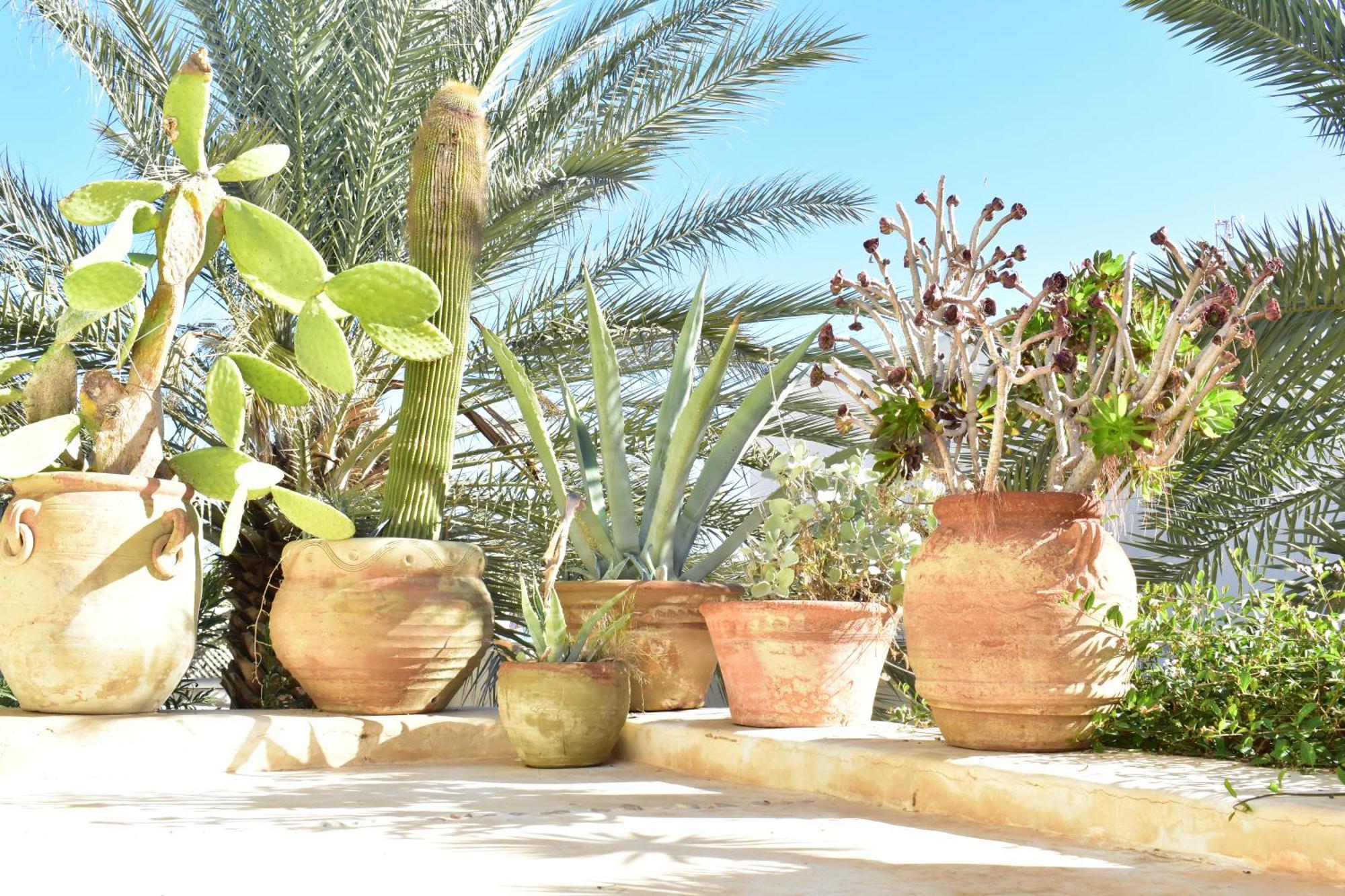 Dar Shams Appartement Erriadh Buitenkant foto